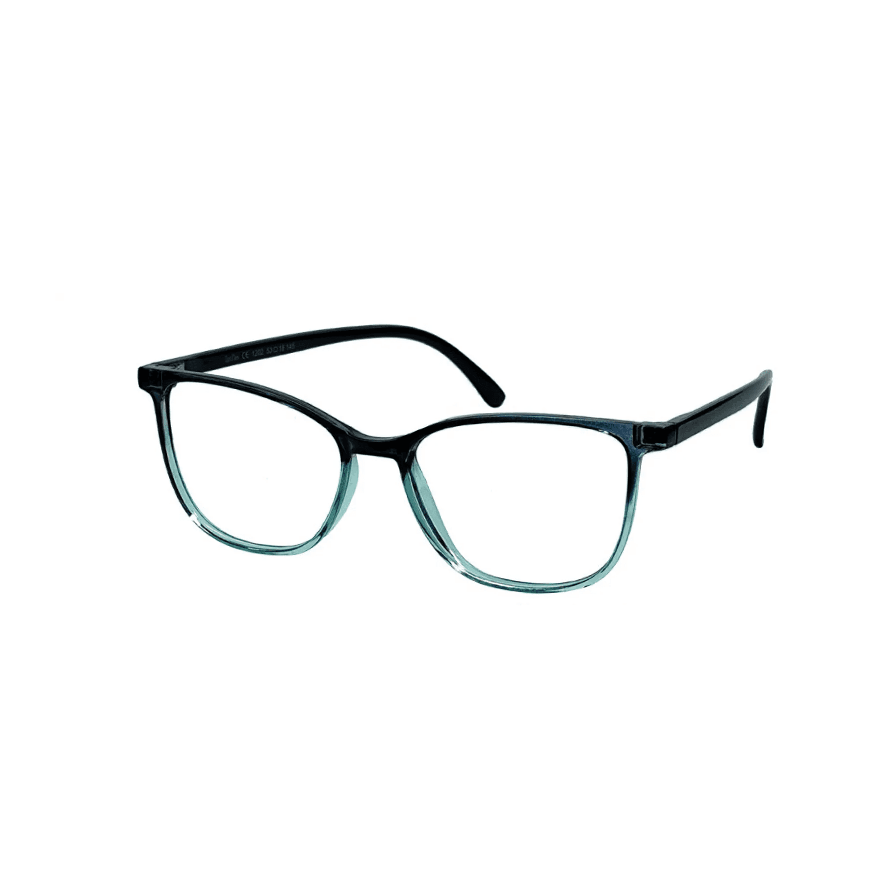 OptiFlex O1202 C44 Turquise